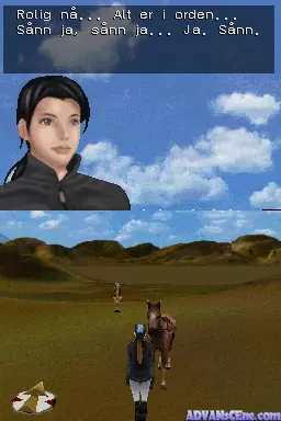 Image n° 3 - screenshots : Real Adventures - Wild Horses